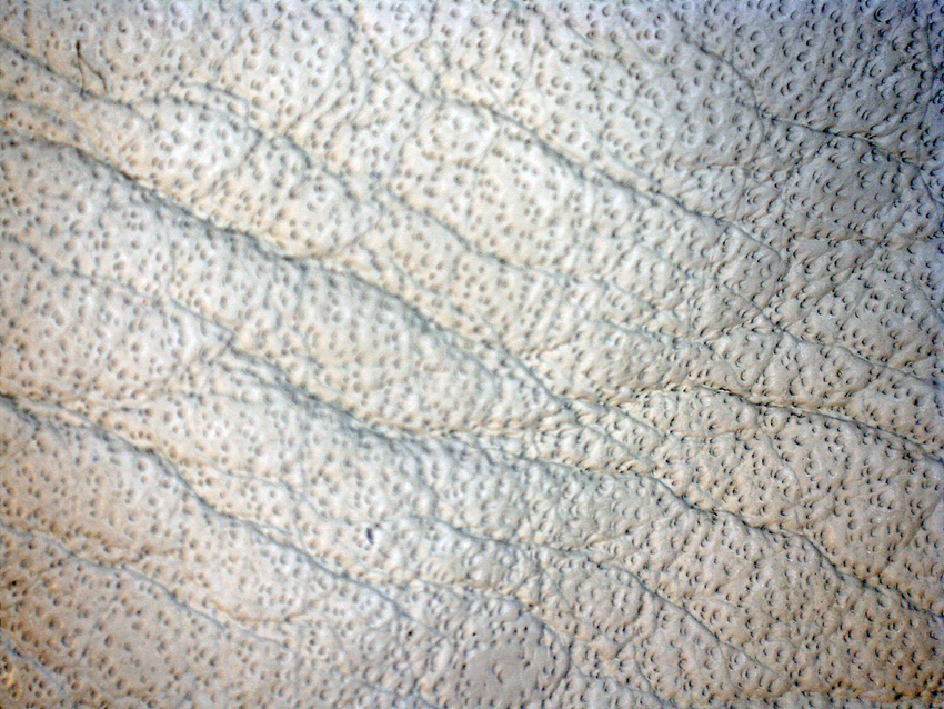 Insulated&nbsp;Standard-Grade Cowhide Leather Palm Gloves with Knit Wrist