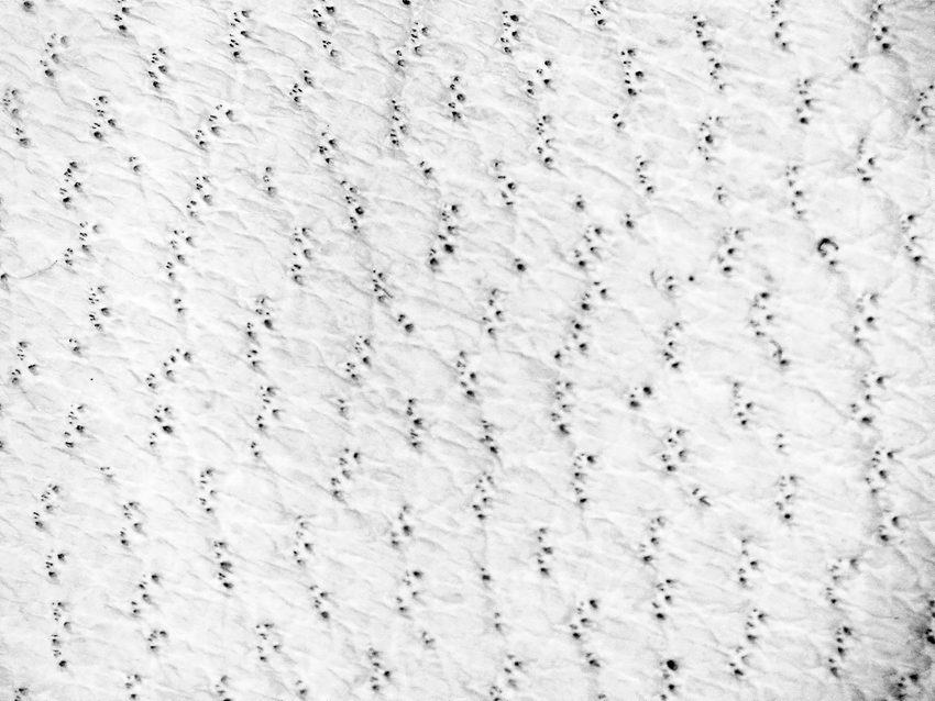 Low Temperature Insulated Goatskin Mechanics Style Gloves